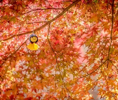 秋の葉とてるてる坊主の写真（奈良市の暮らしと季節のイメージ）